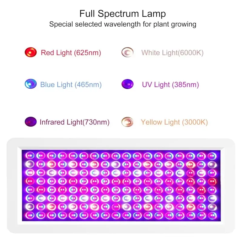 Kotak Lampu UV Terbaru 2026 un - Resin Printer ulasan dan harga